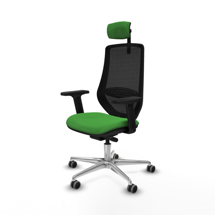 PIQUERAS Y CRESPO Silla de oficina Mardos con mecanismo Sincro/Traslack, Verde y Negro PIQUERAS Y CRESPO Silla de oficina Mardos con mecanismo Sincro/Traslack, Verde y Negro