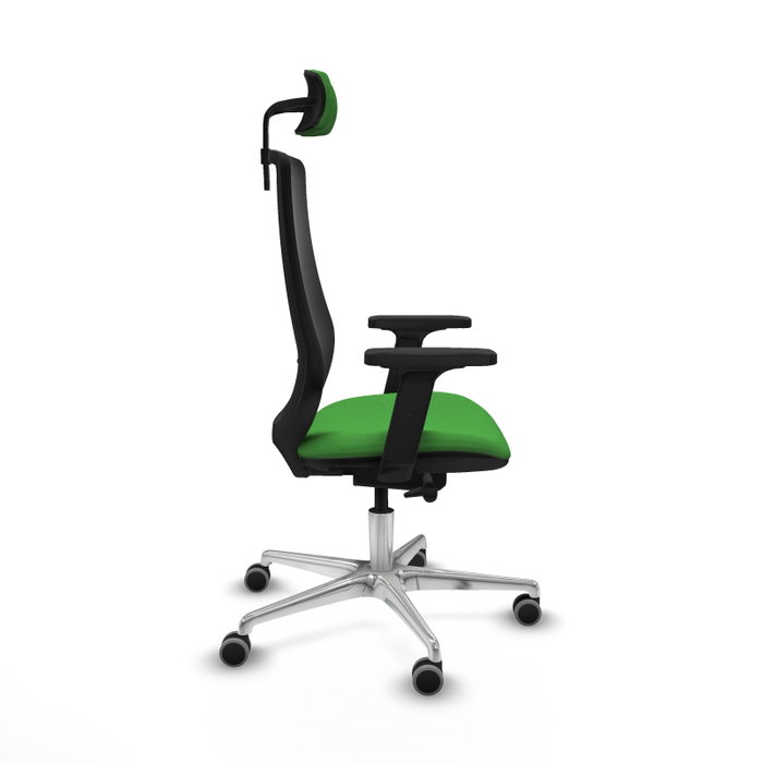 PIQUERAS Y CRESPO Silla de oficina Mardos con mecanismo Sincro/Traslack, Verde y Negro PIQUERAS Y CRESPO Silla de oficina Mardos con mecanismo Sincro/Traslack, Verde y Negro