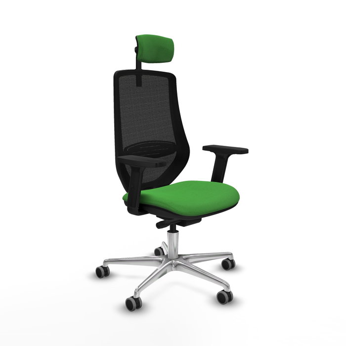 PIQUERAS Y CRESPO Silla de oficina Mardos con mecanismo Sincro/Traslack, Verde y Negro PIQUERAS Y CRESPO Silla de oficina Mardos con mecanismo Sincro/Traslack, Verde y Negro