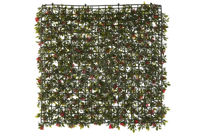 DKD Home Decor Jardín Vertical Verde Rojo 50 x 5 x 50 cm (4 Unidades)