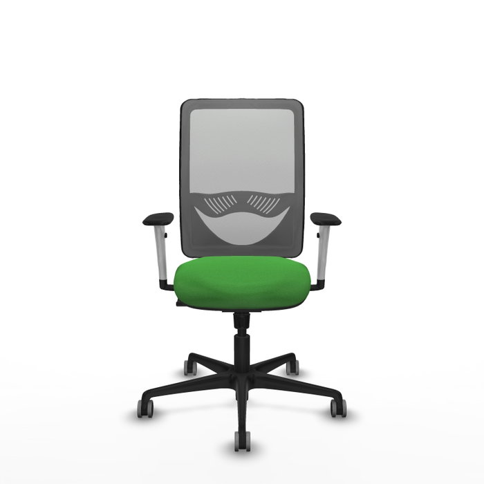 PIQUERAS Y CRESPO Silla de oficina Zulema con mecanismo Sincro, Verde y Gris PIQUERAS Y CRESPO Silla de oficina Zulema con mecanismo Sincro, Verde y Gris