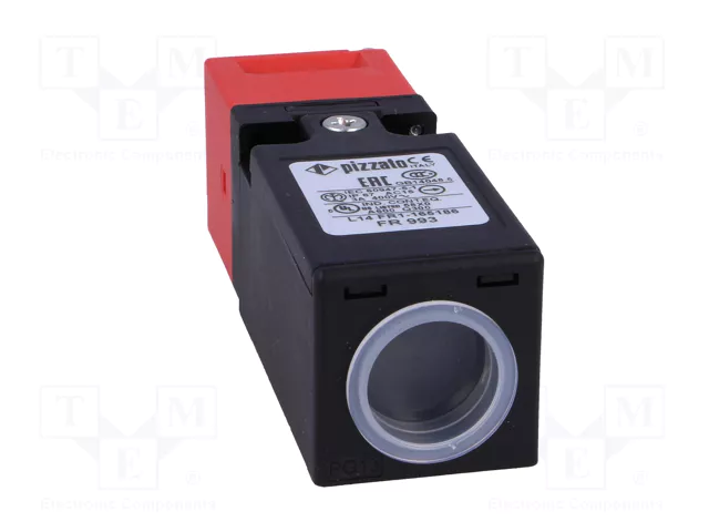 PIZZATO ELETTRICA Interruptor de seguridad FR con llave NC x2 IP67