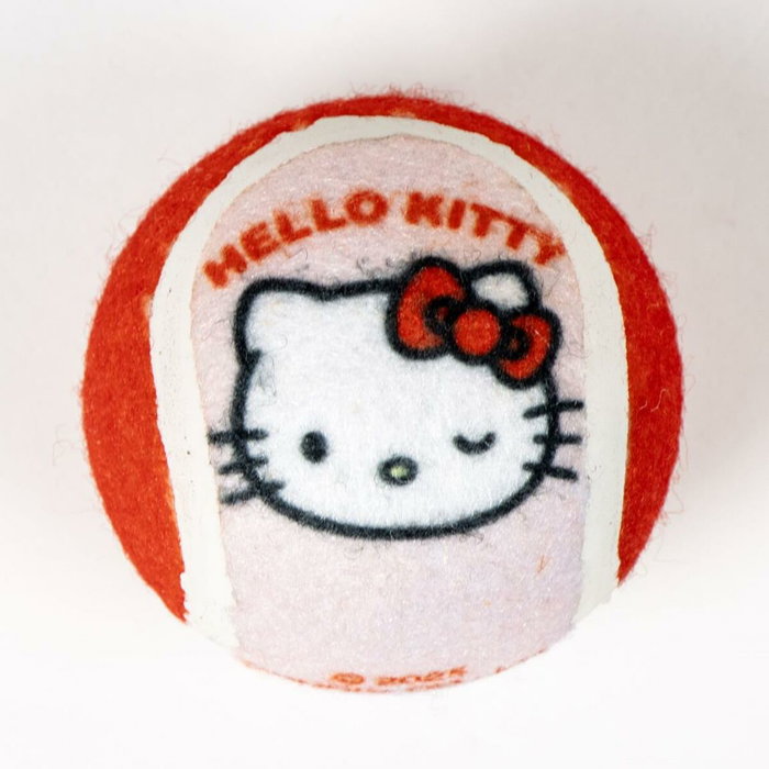Cerdá Set Para Mascotas Hello Kitty Rosa