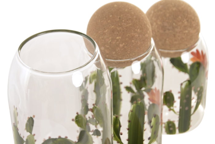 DKD Home Decor Set de 3 Botes de Cristal Cactus con Corcho DKD Home Decor Set de 3 Botes de Cristal Cactus con Corcho