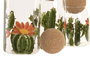 DKD Home Decor Set de 3 Botes de Cristal Cactus con Corcho