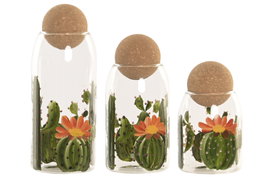 DKD Home Decor Set de 3 Botes de Cristal Cactus con Corcho