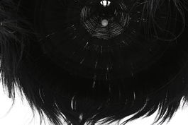 DKD Home Decor Lámpara de Techo Item Home 100 x 100 x 70 cm Fibras Naturales