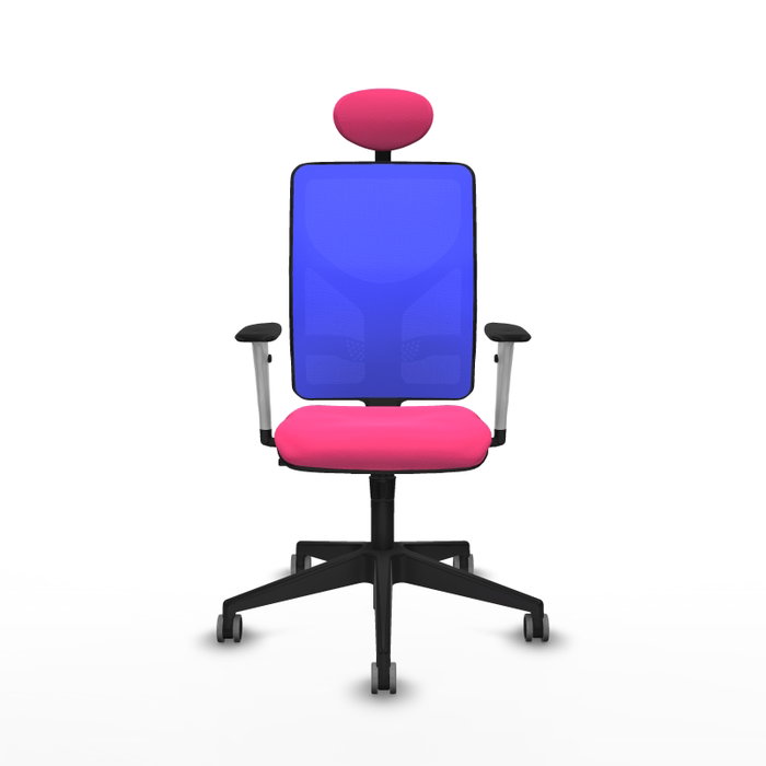 PIQUERAS Y CRESPO Silla de oficina Motilla con mecanismo Sincro, Rosa y Azul PIQUERAS Y CRESPO Silla de oficina Motilla con mecanismo Sincro, Rosa y Azul
