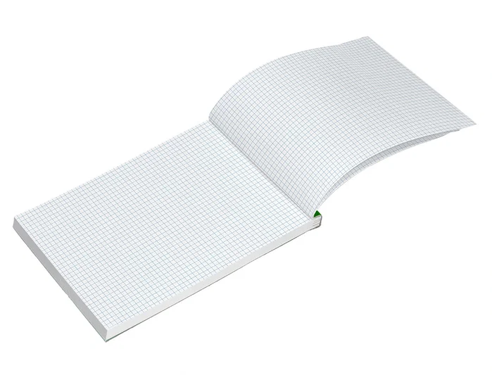 Liderpapel Bloc de notas cuadro 4 mm A5 80 hojas