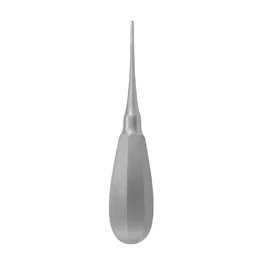 Covetrus Elevador Dental Bein Redondo 2 mm 14 cm para Aflojar Dientes y Facilitar Extracción