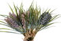 DKD Home Decor Ramo de PE y Hierro Surtido de 4 Colores