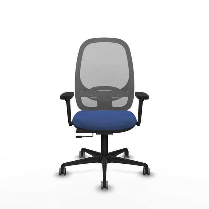 PIQUERAS Y CRESPO Silla de oficina Cilanco con mecanismo Sincro/Traslack Azul marino y Gris PIQUERAS Y CRESPO Silla de oficina Cilanco con mecanismo Sincro/Traslack Azul marino y Gris