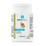 Nutergia Ergycell 90 cápsulas