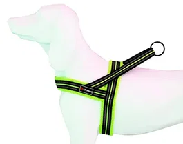 Freedog Arnés Soft-Sport Am Neon T-M 25 mm x 62-72 cm