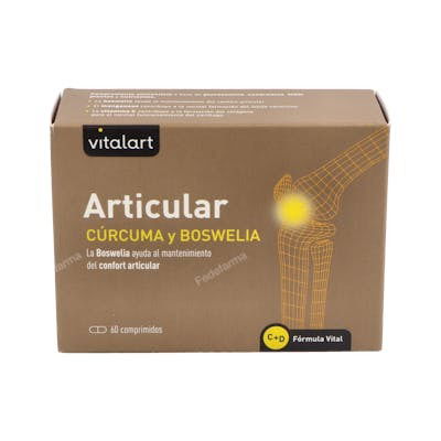 VITALART Articular 60 Comp. Suplemento con Cúrcuma y Boswelia para el Mantenimiento de las Articulaciones
