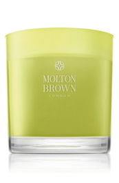 Dewy Lily of the Valley & Star Anise, Almizcle amaderado floral, Vela aromática, 480 g