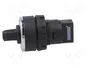 EMAS Potenciómetro Monovuelta 1kΩ 22mm IP65