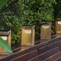 New Garden Farol Solar de Mano Okinawa