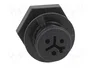 WIELAND Conector Industrial Redondo RST Hembra 3 Pines Negro