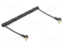 DeLOCK 85777 Cable de audio en espiral 3,5 mm con adaptador a 6,35 mm