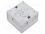 Günther Spelsberg GmbH+Co.KG Spelsberg Abox 025-L IP66