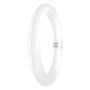 Ledvance Tubo LED T9 G10q 11W 1200Lm 3000K 110º IP20 - LVE-4099854042447