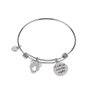 La Petite Story Pulsera Bangles BR LPS OWL and Charm Gris