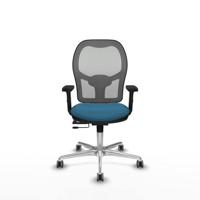 PIQUERAS Y CRESPO Silla de oficina Jorquera con mecanismo Sincro/Traslack, Verde petróleo y Gris PIQUERAS Y CRESPO Silla de oficina Jorquera con mecanismo Sincro/Traslack, Verde petróleo y Gris