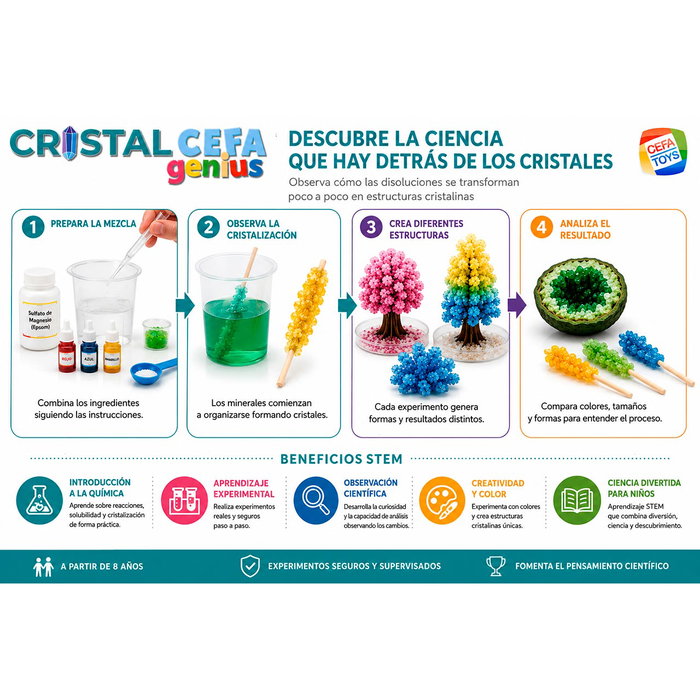 CEFA Mineralocefa Cristalcefa Genius 20003