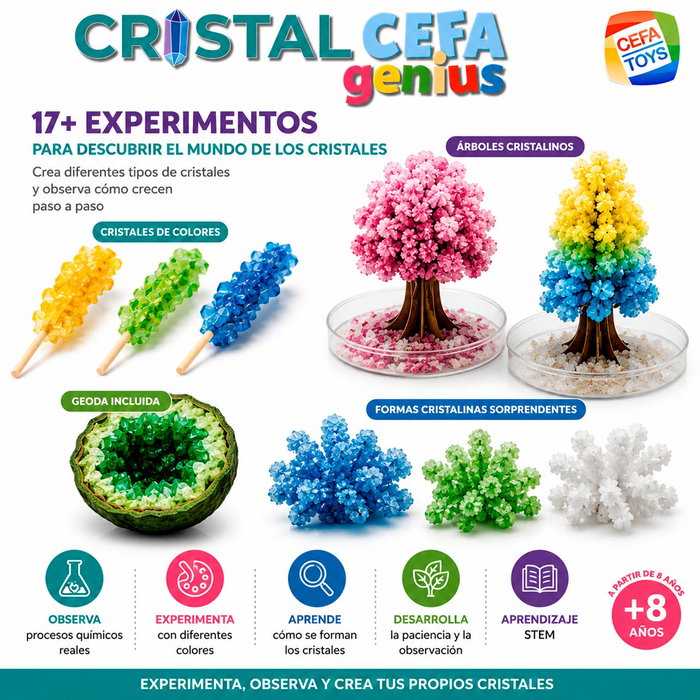 CEFA Mineralocefa Cristalcefa Genius 20003