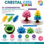 CEFA Mineralocefa Cristalcefa Genius 20003