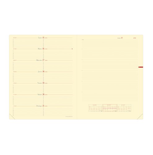 QUO VADIS Recambio Agenda Anual Note 27 SP 270x210 mm con Notas QUO VADIS Recambio Agenda Anual Note 27 SP 270x210 mm con Notas