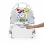 Baby Einstein BAB0074451999022 Mecedora Evolutiva 3 en 1 con Melodías y Vibraciones, 3 Posiciones, Arco de Juguetes, 0-30 Meses