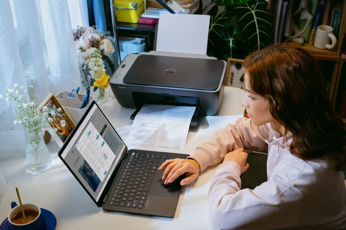 HP DeskJet 2920 All-in-One Gris