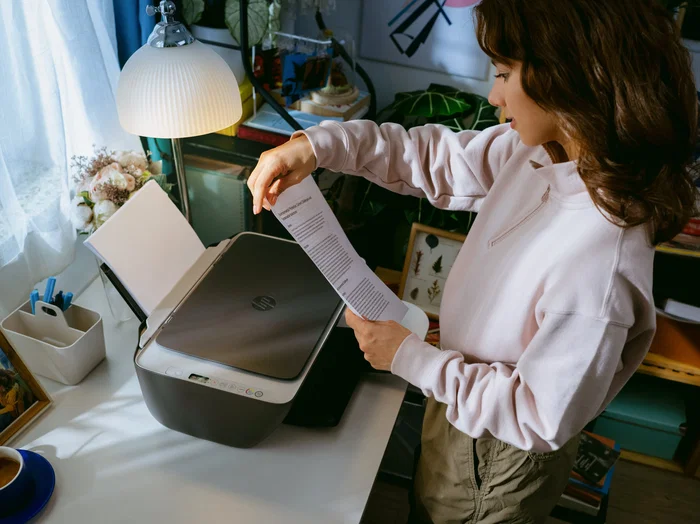 HP DeskJet 2920 All-in-One Gris