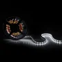Tira de 300 LEDs 60W 14100Lm 2700K SMD5252 12VDC IP20 x5M 50.000H WM-5252-300-WW Blanco Cálido