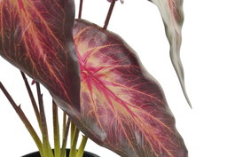DKD Home Decor Planta Rojo Burdeos 20x38x20 cm (6 Unidades)