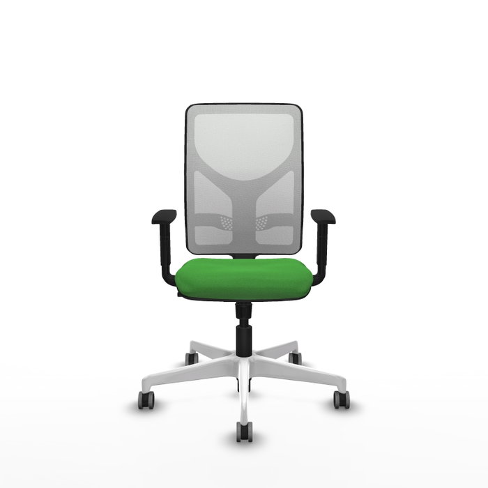 PIQUERAS Y CRESPO Silla de oficina Motilla con mecanismo Sincro, Verde y Blanco PIQUERAS Y CRESPO Silla de oficina Motilla con mecanismo Sincro, Verde y Blanco