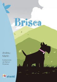 Brisca, Andreu Martín - MILENIO EDITORIAL