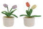 DKD Home Decor Sujetapuertas Tulipane de Poliéster, Pack de 2