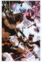 Panini España S.A. THE BRAVE AND THE BOLD 01 BATMAN LA CARTA GANADORA