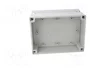 FIBOX MNX Carcasa Universal de Policarbonato Gris