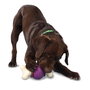 Petsafe Busy Buddy Bouncy Bone M Juguete 3 en 1 para Perros Resistente Estimulante y Divertido, Reduce Ansiedad y Estrés, Fácil de Limpiar, Tamaño Mediano