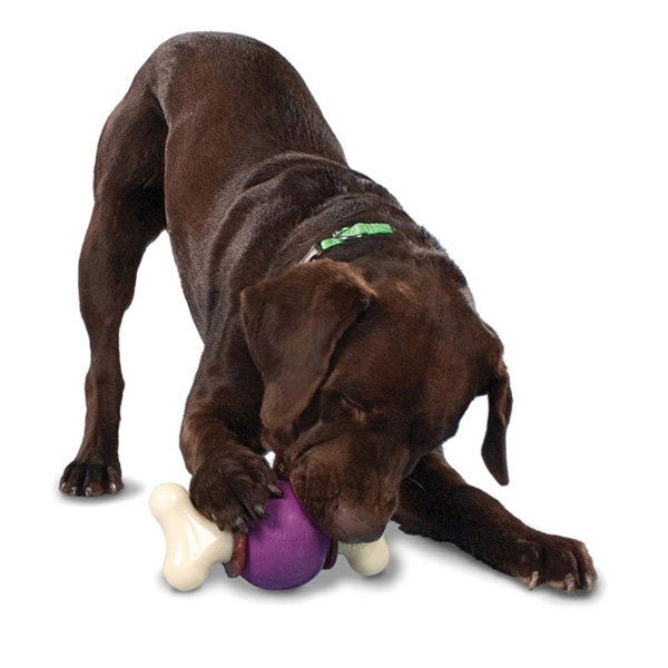 Petsafe Busy Buddy Bouncy Bone Med