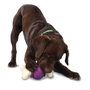 Petsafe Busy Buddy Bouncy Bone Med