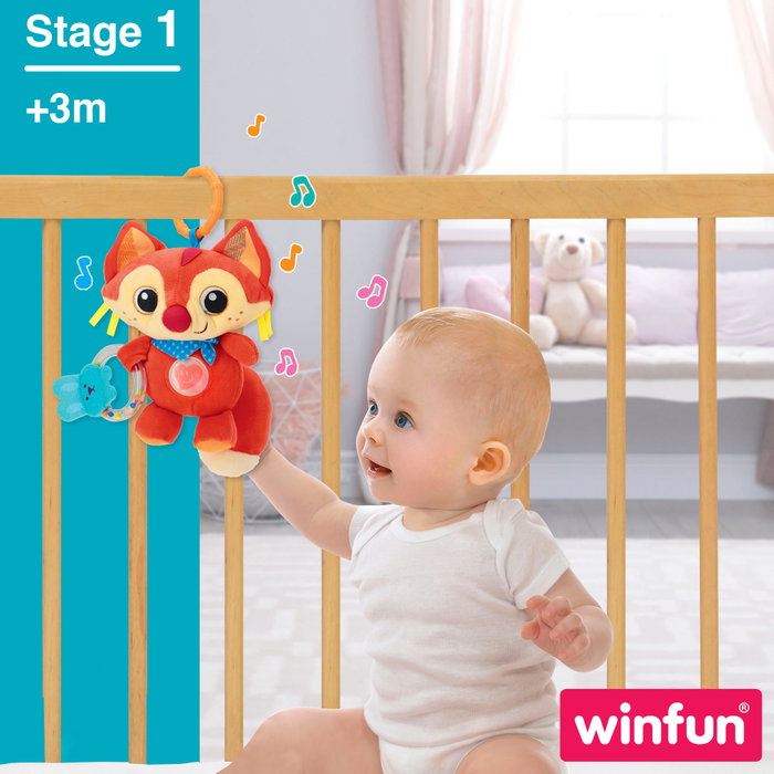 Winfun Zorro Canta Conmigo