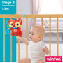 Winfun Zorro Canta Conmigo