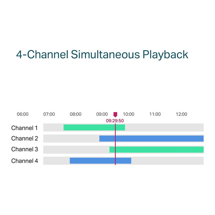 TP-Link NVR1004H-4P Grabador de Vídeo en Red (NVR) de 4 Canales PoE, Soporte 4K