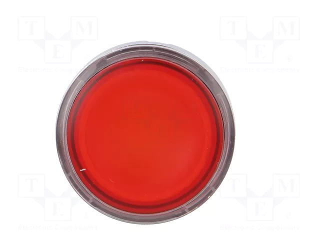 SCHNEIDER ELECTRIC Interruptor de presión Harmony XB4 22mm Rojo
