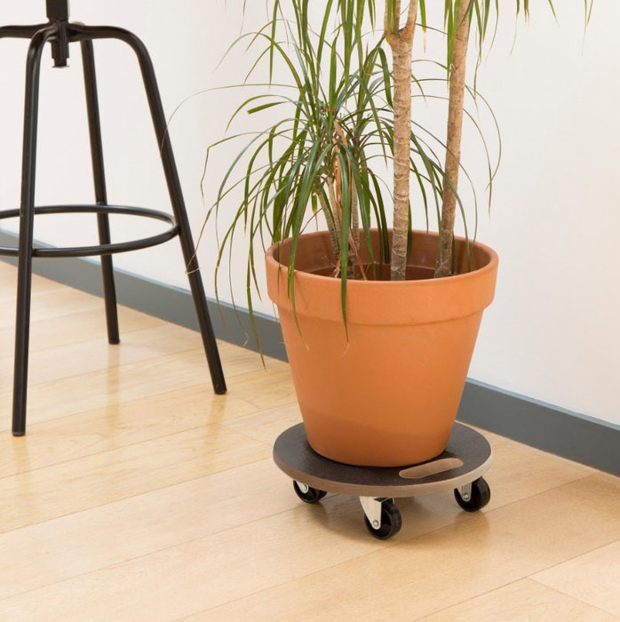 Bricotech Base de Madera Redonda con Ruedas 38x11cm